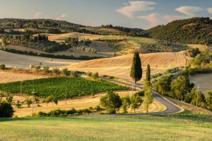 tour consigliati