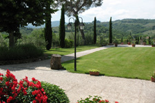 Photo of the grass around the home