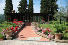 Photo of the external and of the garden 